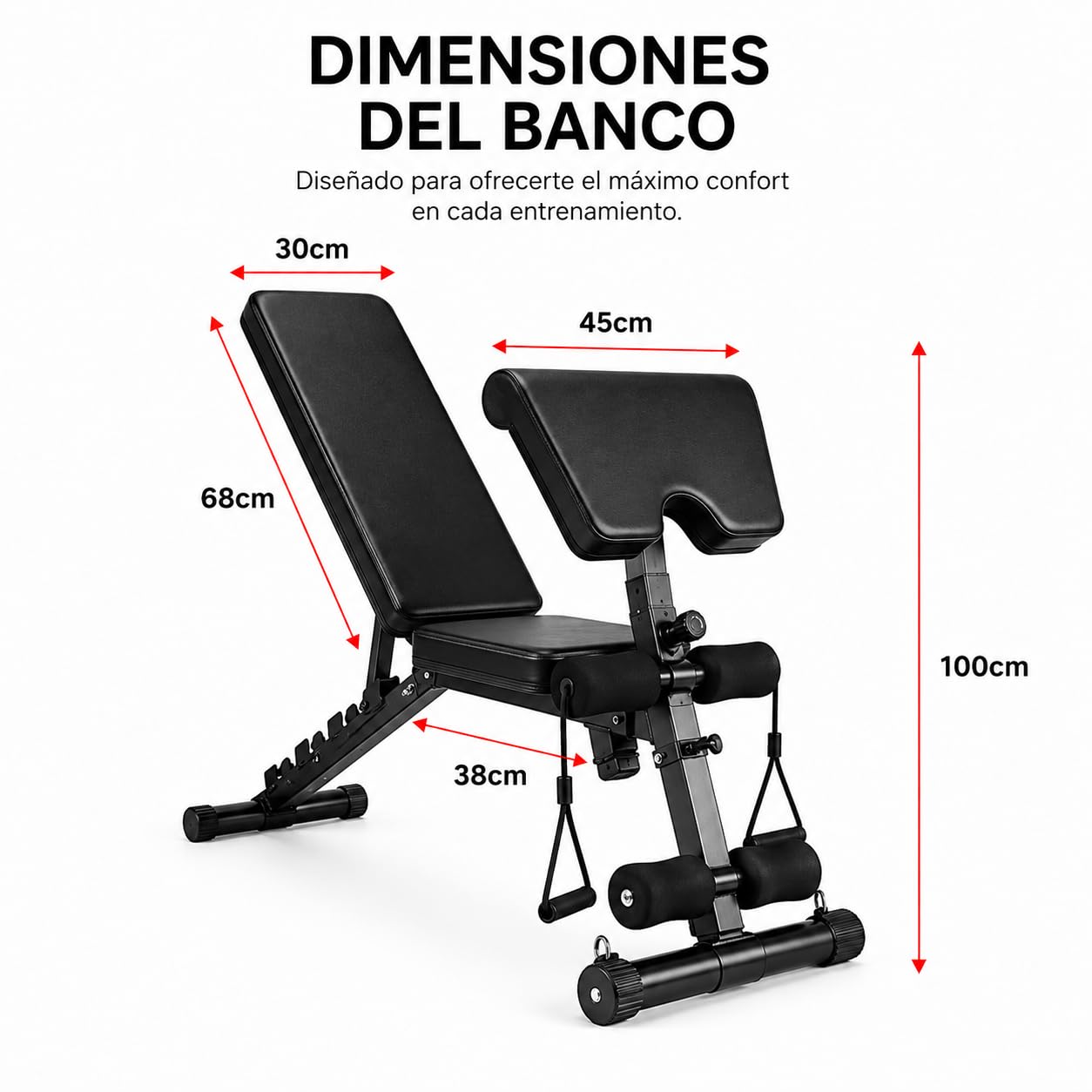 Banco de musculación plegable 2 en 1 con banco Scott 120 kg 150 × 42 × 100 cm – Bandas resistencia, asas abdominales, acolchado alta densidad, acero triangular, casa