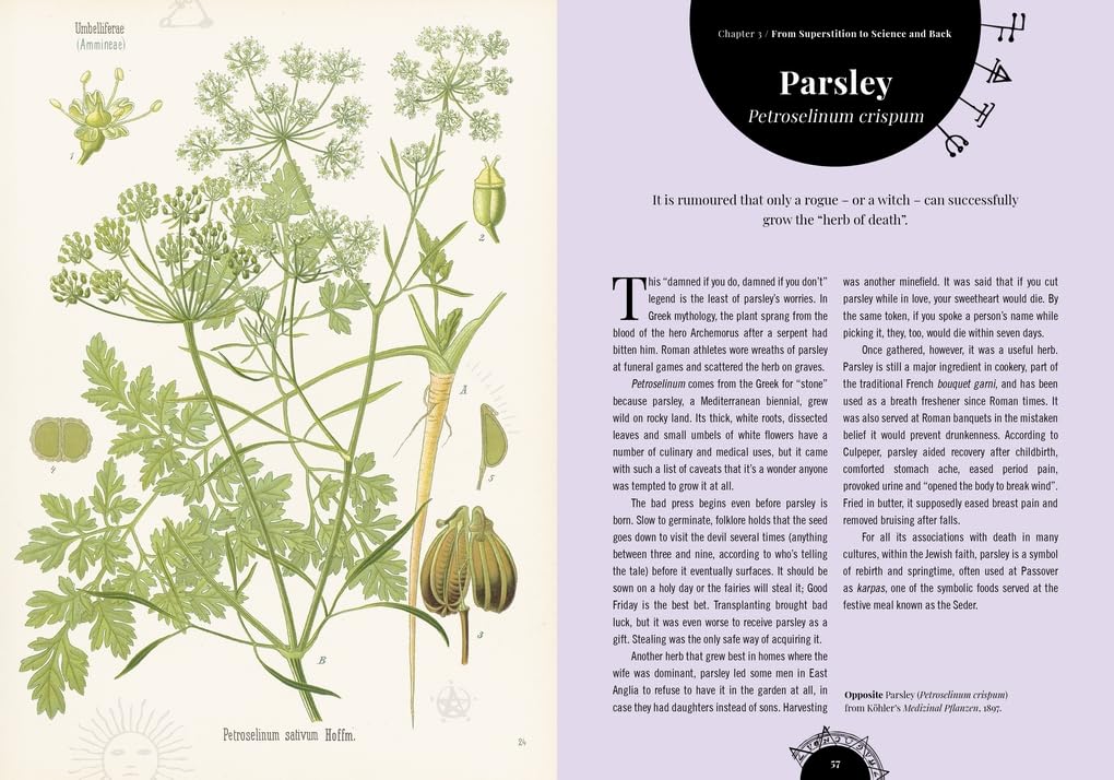Witch's Garden: Plants in Folklore, Magic and Traditional Medicine