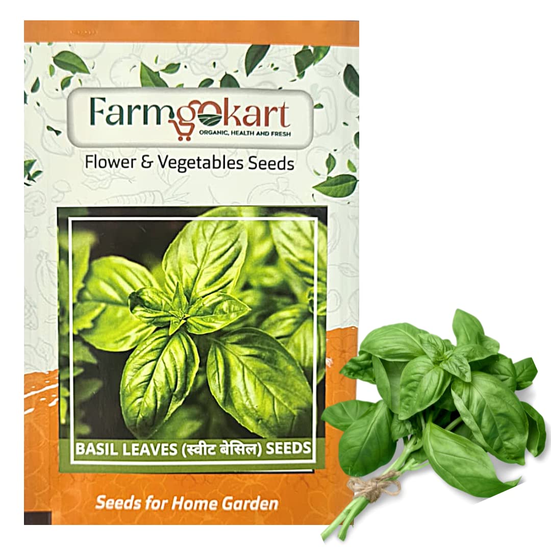 See full amazon price history chart for Farmgokart | 10 Gms of SWEET BASIL GREEN | Appx 5000 Seeds | High Germination Quality Herb Seeds Pouch | for Home Gardening, Farming, Hydroponics and Poly Houses Farmgokart | 10 Gms of SWEET BASIL GREEN | Appx 5000 Seeds | High Germination Quality Herb Seeds Pouch | for Home Gardening, Farming, Hydroponics and Poly Houses (B0BP1WTNCB) Amazon Price History, Amazon Price Tracker