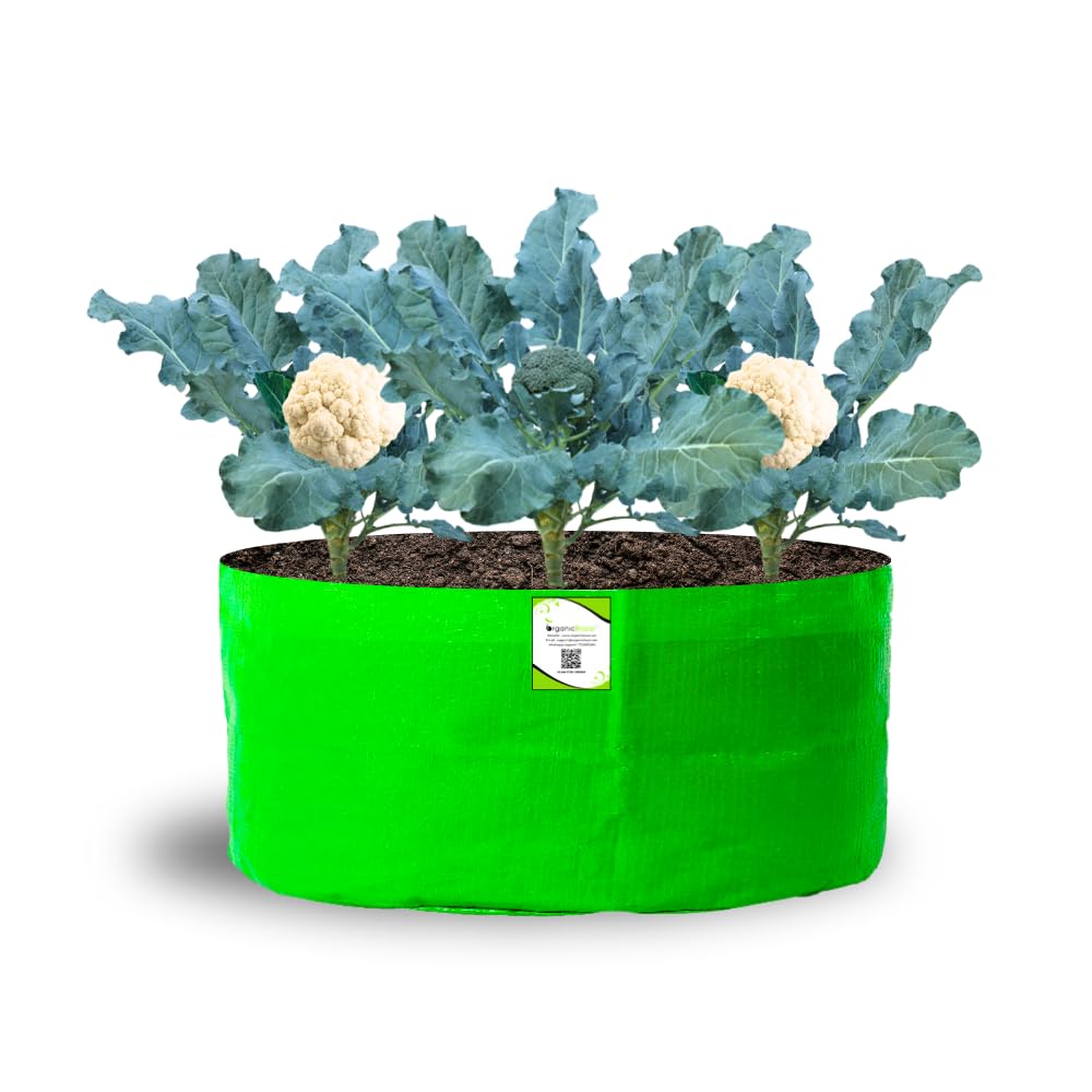 ORGANIC BAZAR HDPE 24"x15" Grow Bag for Home & Terrace Gardening Suitable for All Type of Vegetables, & Flower Plants | UV Resistant, & Light Weight Plant Bag | 260 GSM (Pack of 1)