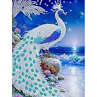 Amazon | ピーコックダイヤモンドペインティングキット大人用初心者用