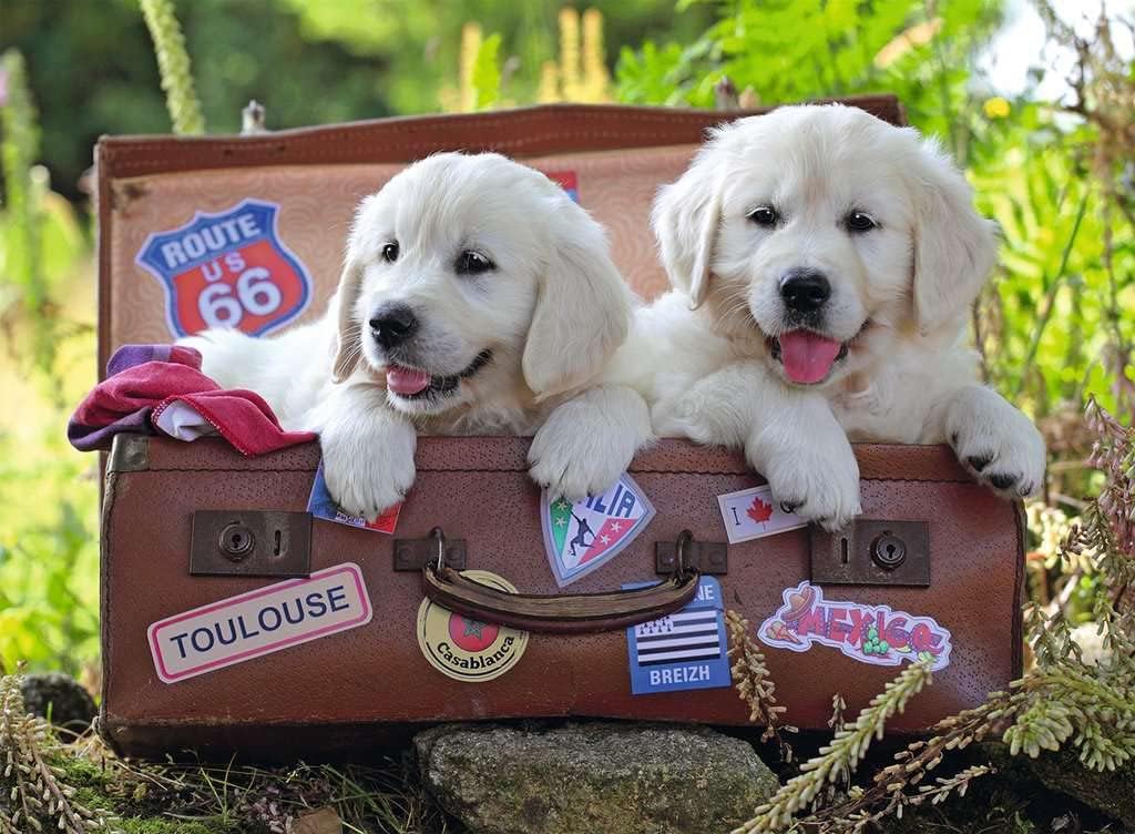 Ravensburger Traveling Pups 100 Piece Jigsaw Puzzle for Kids – Every Piece is Unique, Pieces Fit Together Perfectly