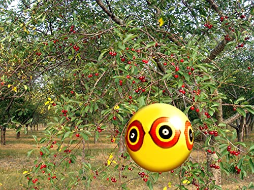 Globo Scare Eye Bird-X amarillo para evitar daños de aves en balcones 4