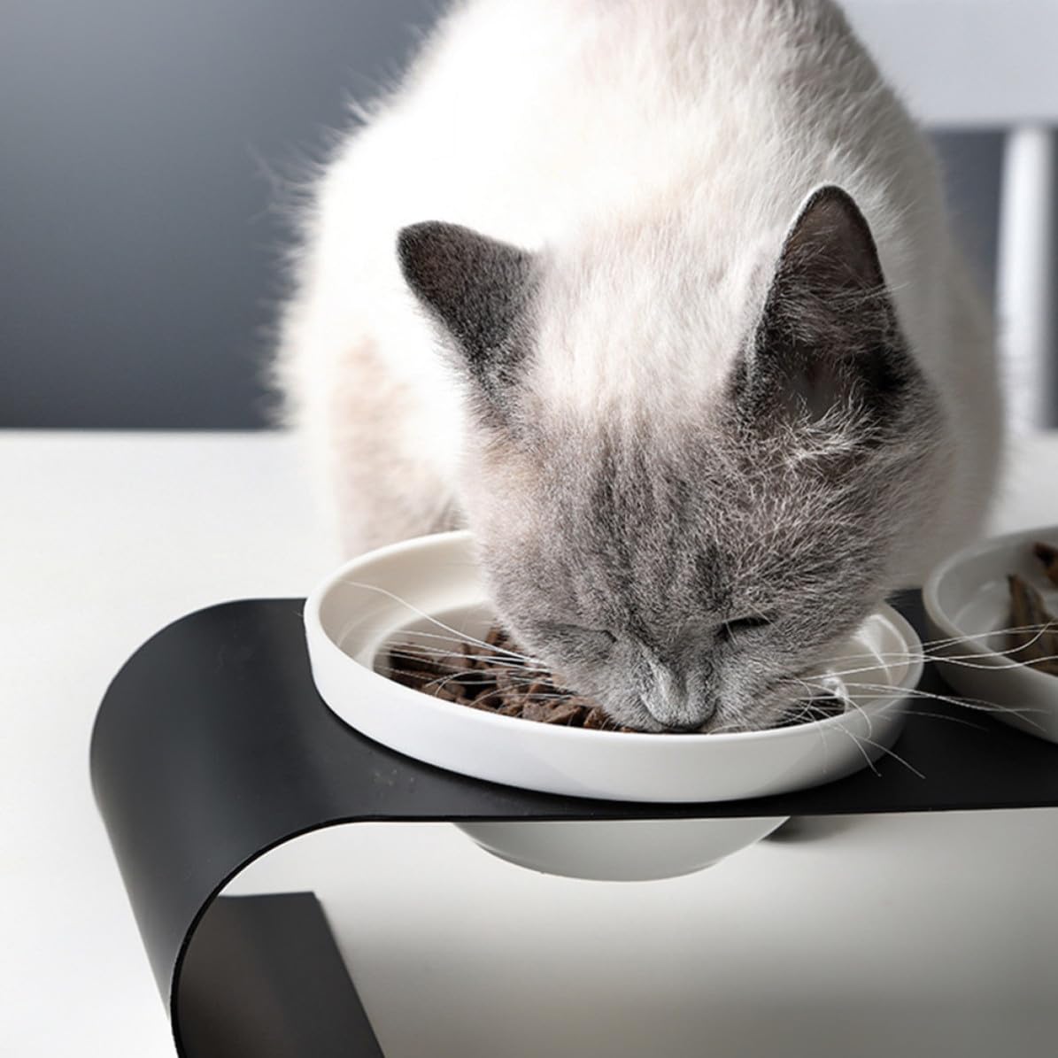 Comedero para Mascotas Cuencos de Cerámica y Soporte de Hierro Resistente, Doble Tazón Elevado para Gatos y Perros Pequeños, Diseño Simple y Práctico en Color Blanco