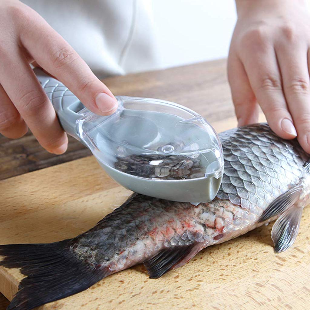 WEELZONE Fish Scaler, Fish Scale Remover, Skin Peeler, Kitchen Gadget (Pack of