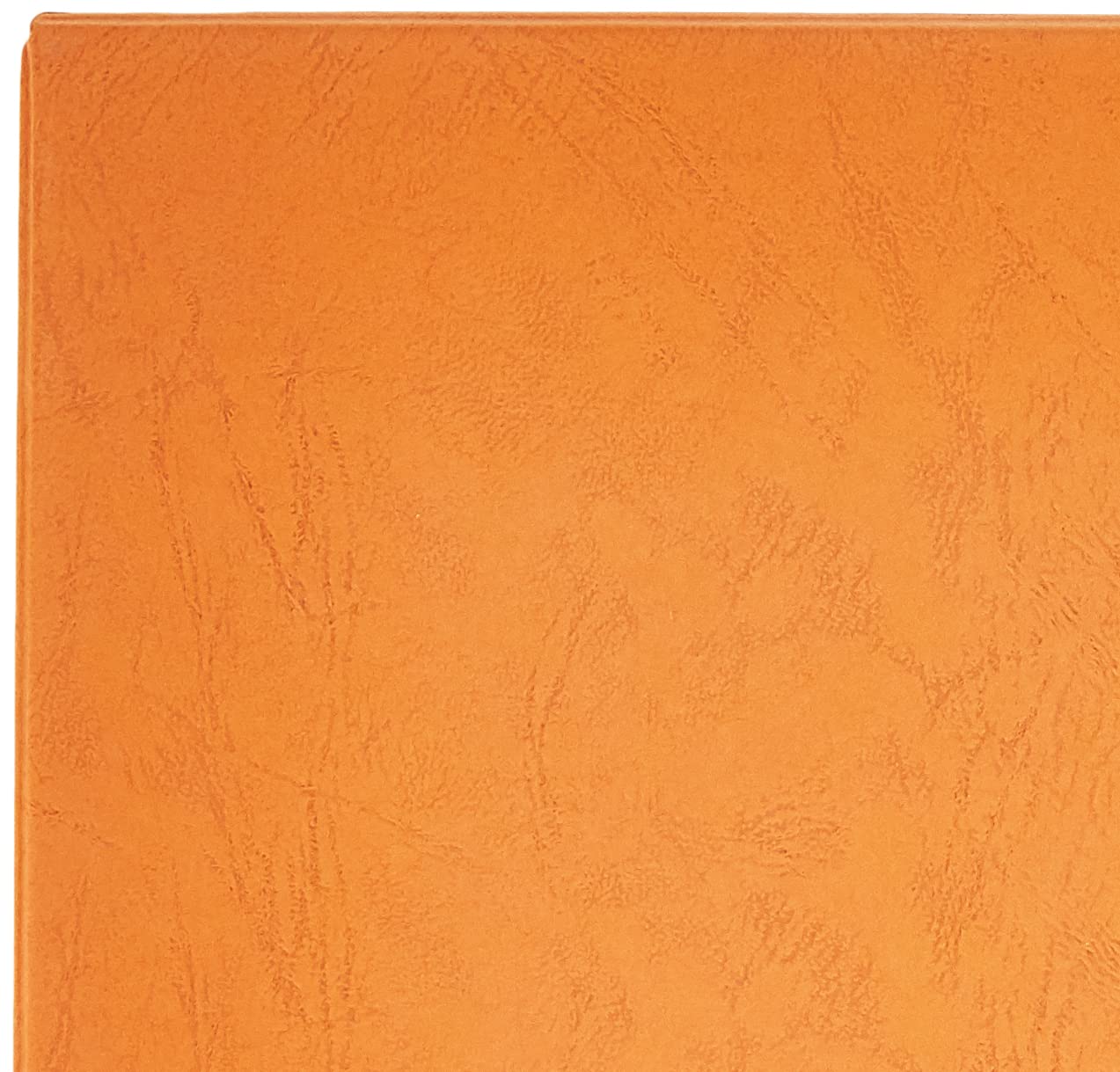 Pardo 134006 - Album para colección billetes universales, color marrón