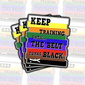3Pcs Keep Training Until Belt Turns Black Sticker Motivational Karate Taekwondo Stickers Gift Keep Training Until Belt Turns Black Stickers Cars Decal for Laptop Water Bottle Toolbox Phone Case 3"