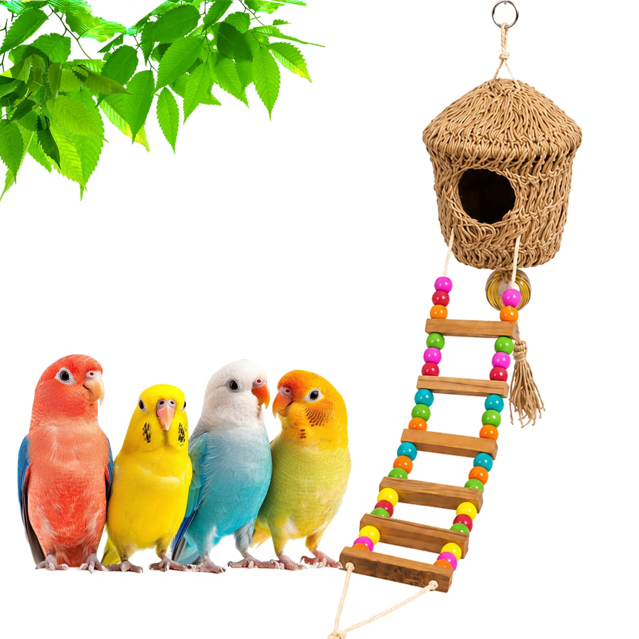 Venus Aqua Hanging Earthenware Bird Nest with Colorful Bead Ladder | Natural Jute Rope Bird Toy | Parrot Budgie Lovebird Cage Accessory with Climbing Ladder for Small Birds Toys Hanging 60 Cm-image-40