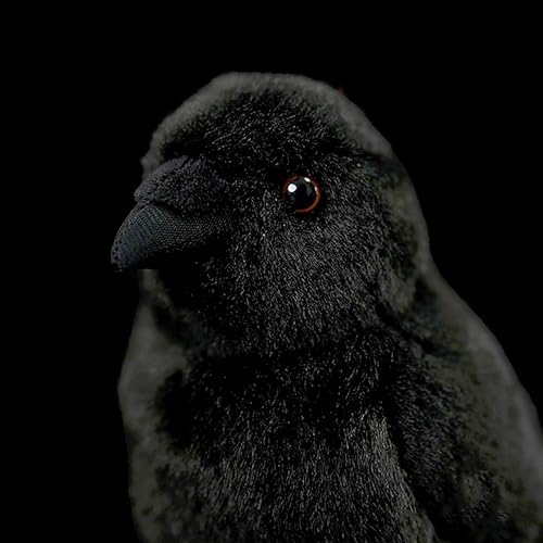 Miniatura 7 de Cuervo de peluche realista de cuervo, lindo animal de peluche de cuervos negros de pájaro, juguete de peluche de Halloween, animales de zoológico,