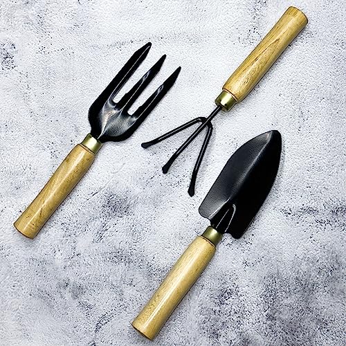 Gtree Garden Hand Trowel Set of 3 with Wooden Handle | Terrace, Balcony Gardening Accessories | Tools Kit for Home Gardening | Tool Kit Set Gtree Garden Hand Trowel Set of 3 with Wooden Handle | Terrace, Balcony Gardening Accessories | Tools Kit for Home Gardening | Tool Kit Set