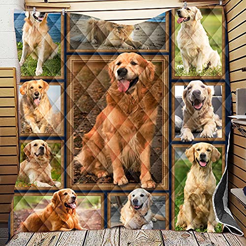 Chickwin 3D Tagesdecke Bettüberwurf Gesteppt, Mikrofaser Tagesdecke Schlafzimmer Steppdecke Decke Überwurf Wohnzimmer Sofaüberwurf für Einzelbett Doppelbett (Golden Retriever,180x200cm) Cover