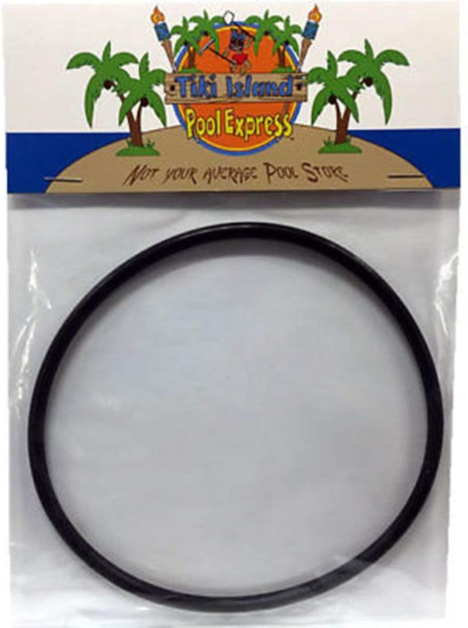 Tiki Island Pool Express Compatible with 354533 Pentair Dynamo Dynamite Dynatron Pool Pump Lid O-Ring