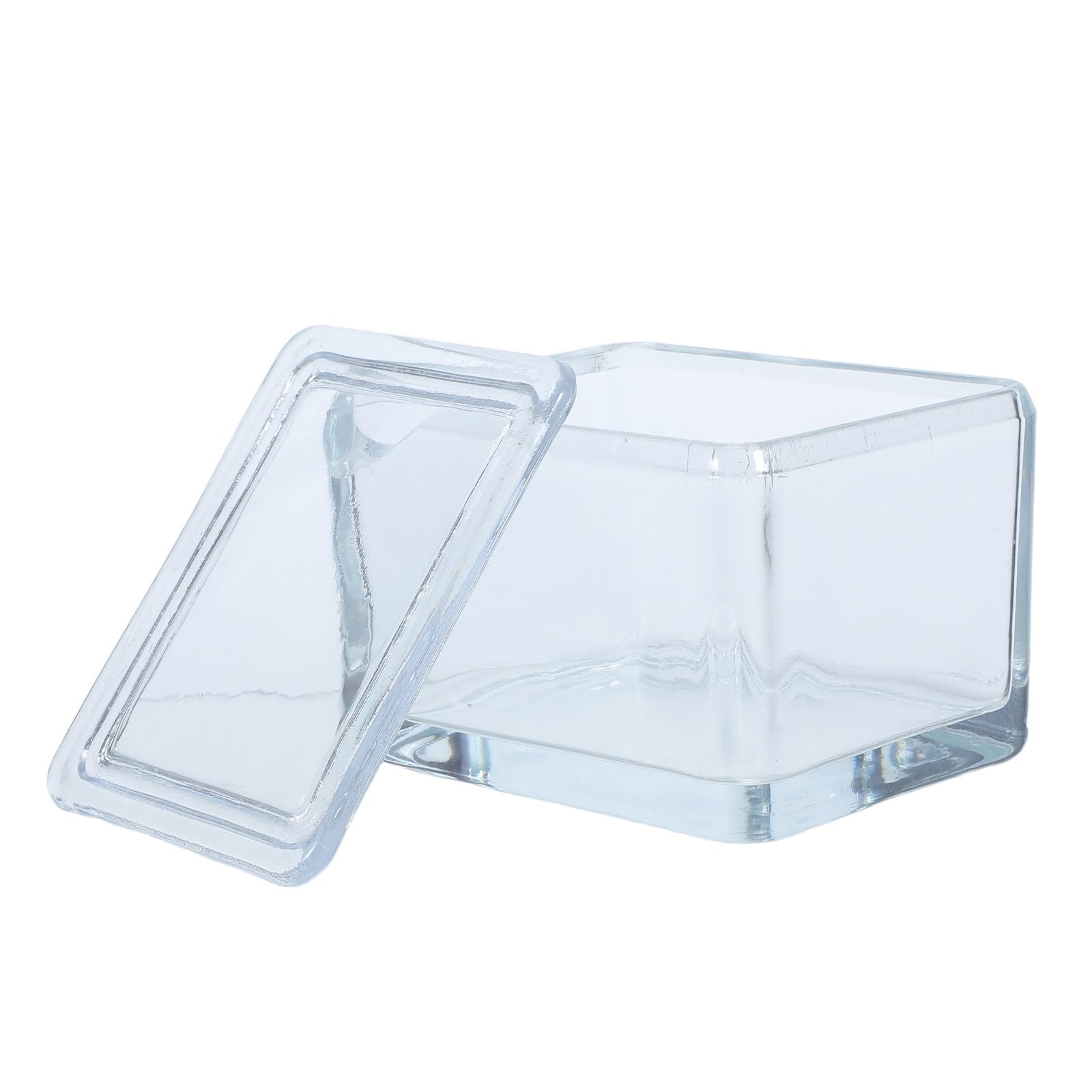 Caja para teñido de portaobjetos de laboratorio, contenedor de vidrio sellado para 20 láminas