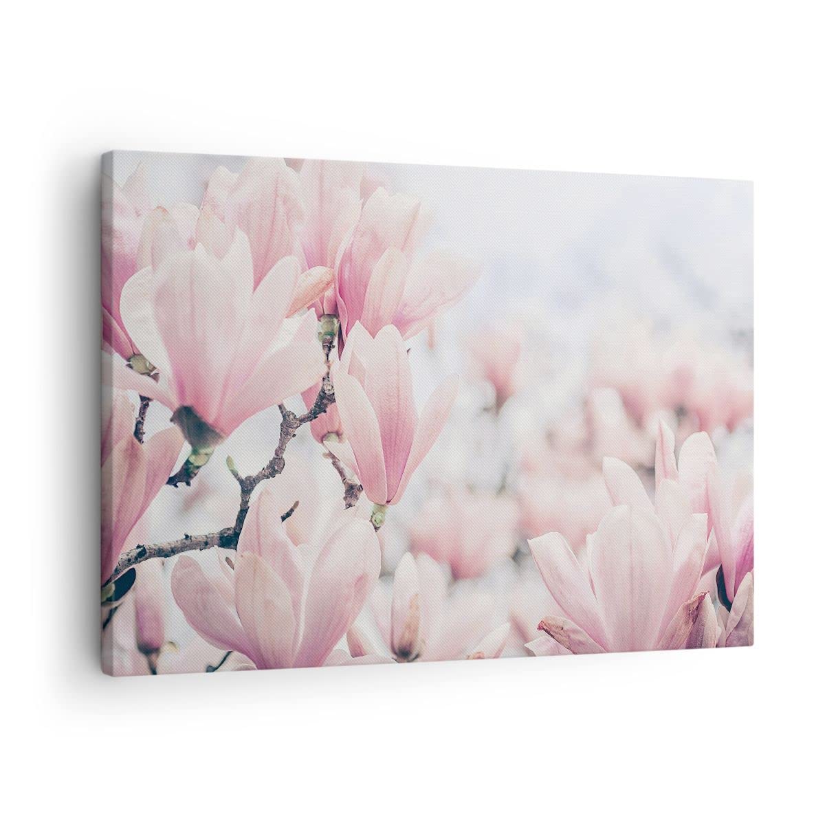 ARTTOR Lienzos decorativos Magnolia Flores Rosa Cuadro Sobre Lienzo Moderno 70x50cm Cuadros Decoracion Salon Dormitorio Cocina Cuadros Pared Imágenes Wall Art Prints Decor Canvas AA70x50-4396