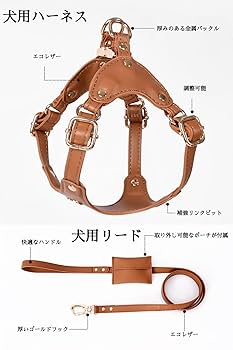 HIGH 5 DOGS 小型犬 調整可能 ハーネス リードセット Amazon | NC メッシュ 犬用 ハーネス 胴輪 反射材料付き リード