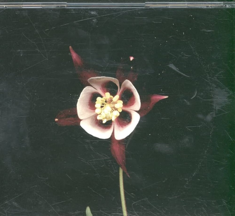 Amazon.co.jp: DOUBLE HAPPINESS: ミュージック