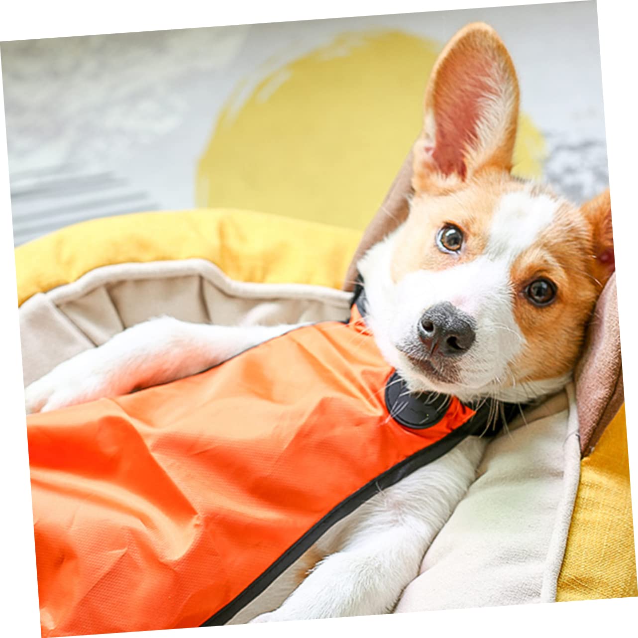 Impermeabile Per Cani Verde - Antipioggia, Copertura Pancia, Regolabile, Taglie S, M, L - Foto 10