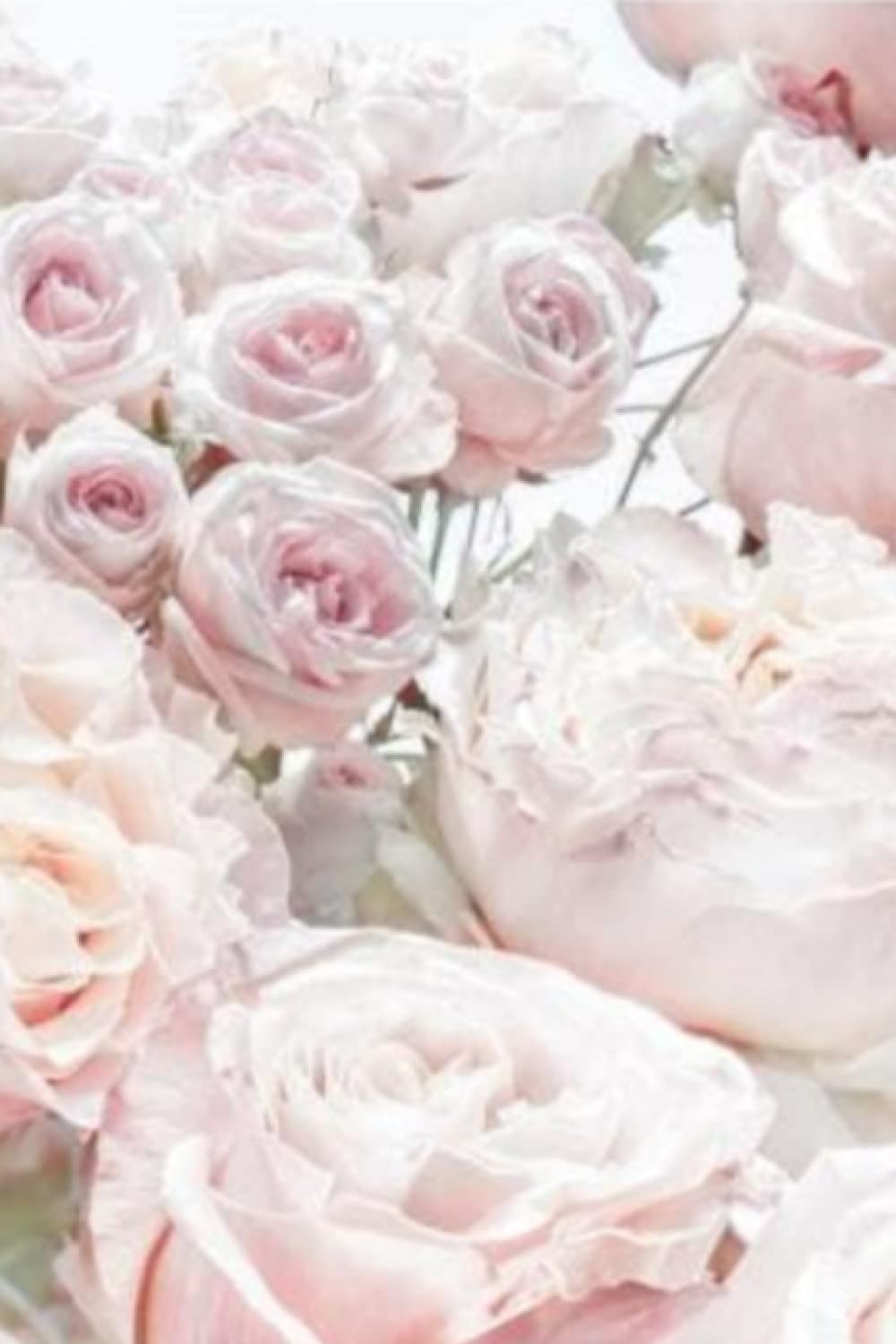 Pastel pink and white rose cover, 6x9, 80 pgs, Journal, notebook, notepad, work pad, diary.: Pastel pink and white rose cover, 6x9, 80 pgs, Journal, notebook, notepad, work pad, diary.