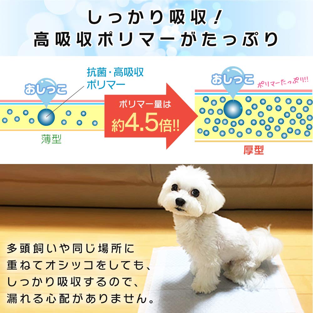 シマノ 21カルカッタコンクエスト201(左) 未使用 【公式通販】