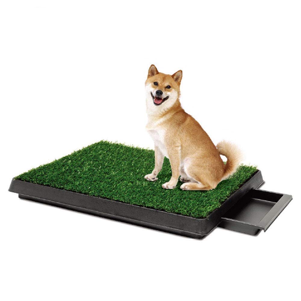 Tapis de propreté pour chien pour éviter les accidents sur le parquet