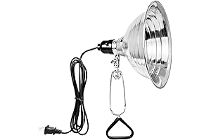 Simple Deluxe Clamp Lamp Light for Chicks