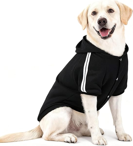NAMSAN Felpa con Cappuccio per Cani Taglia Media/Grande