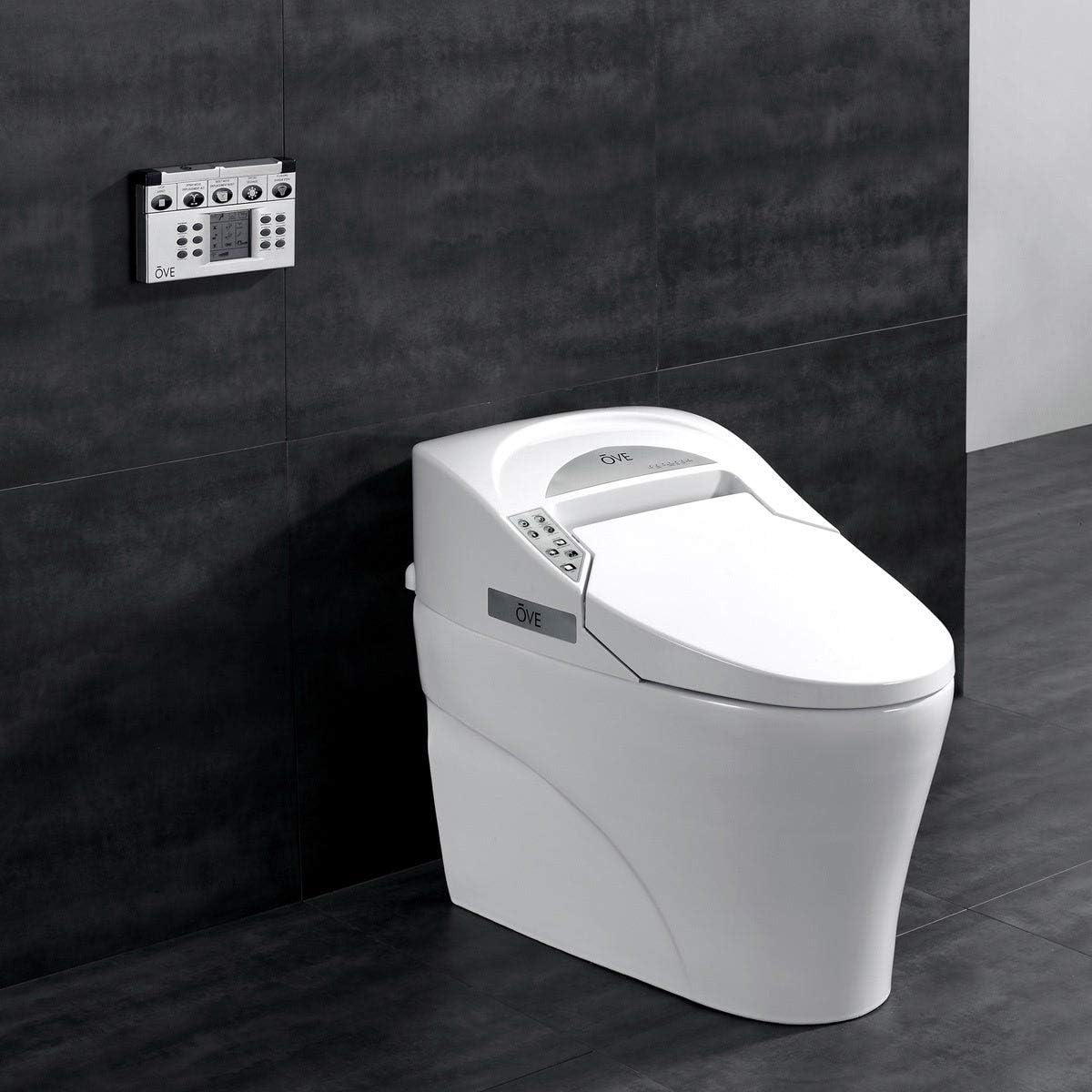 If you want to purchase the best bidet toilet combo 2022 without