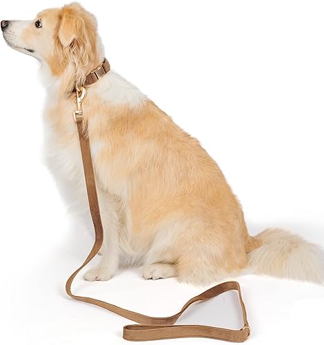 Miniatura 4 de Collar suave para perro con hebilla de metal, ajustable, duradero, cómodo, de pana de algodón, para perros grandes, medianos y pequeños, collares de