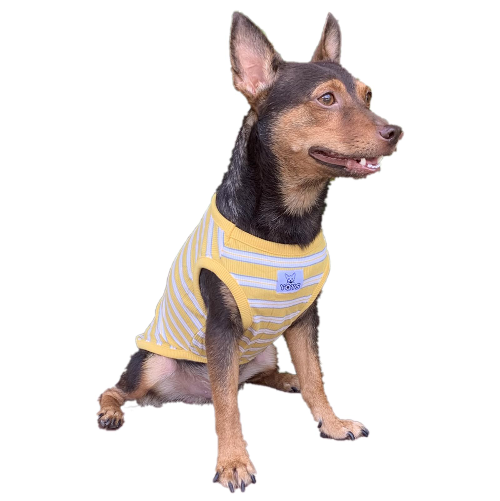 YQYS Dog Shirts Multi-Color Striped Cotton Vest for Small Dogs and Cats Puppy Clothes Teacup Dog Clothing Tank Top for Chihuahua Miniature Pinscher