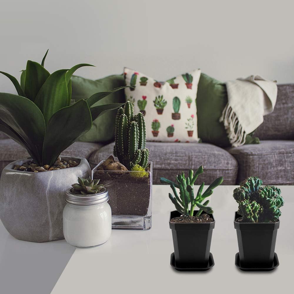 foxany 3" Nursery Pot, 30 Pcs Thick Plastic Plants Pots, Square Flower Planting Pots, Plant Seedling Pots, Seed Starting Pots with Saucers - Black 30 Pcs - Image 6