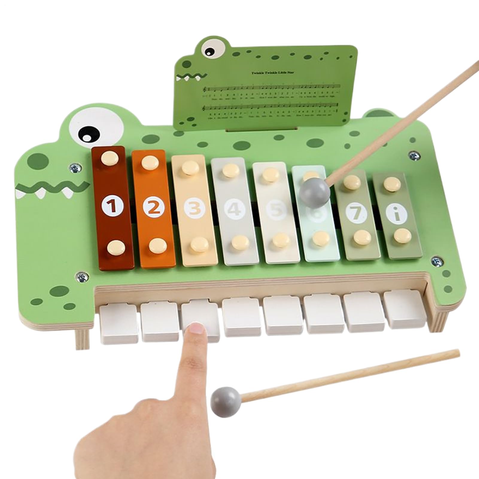 Xylophone Enfant Instrument d'Éveil Sensoriel et d'apprentissage Percussion