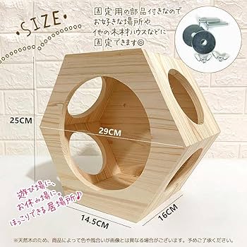 小動物の内固定法 61-GuxdZd8L._UF350,350_QL80_.jpg