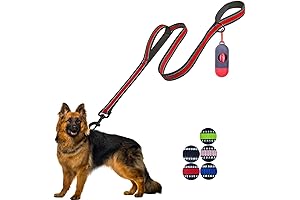 Phydeaux Dog Leash: Enhanced Control and Comfort for Every Canine Adventure