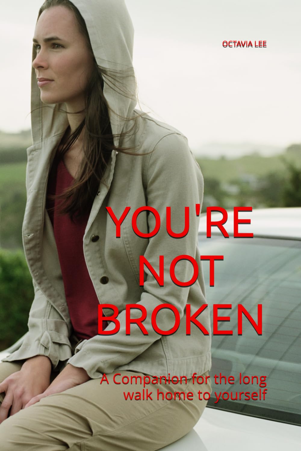 YOU'RE NOT BROKEN: A Companion for the long walk home to yourself