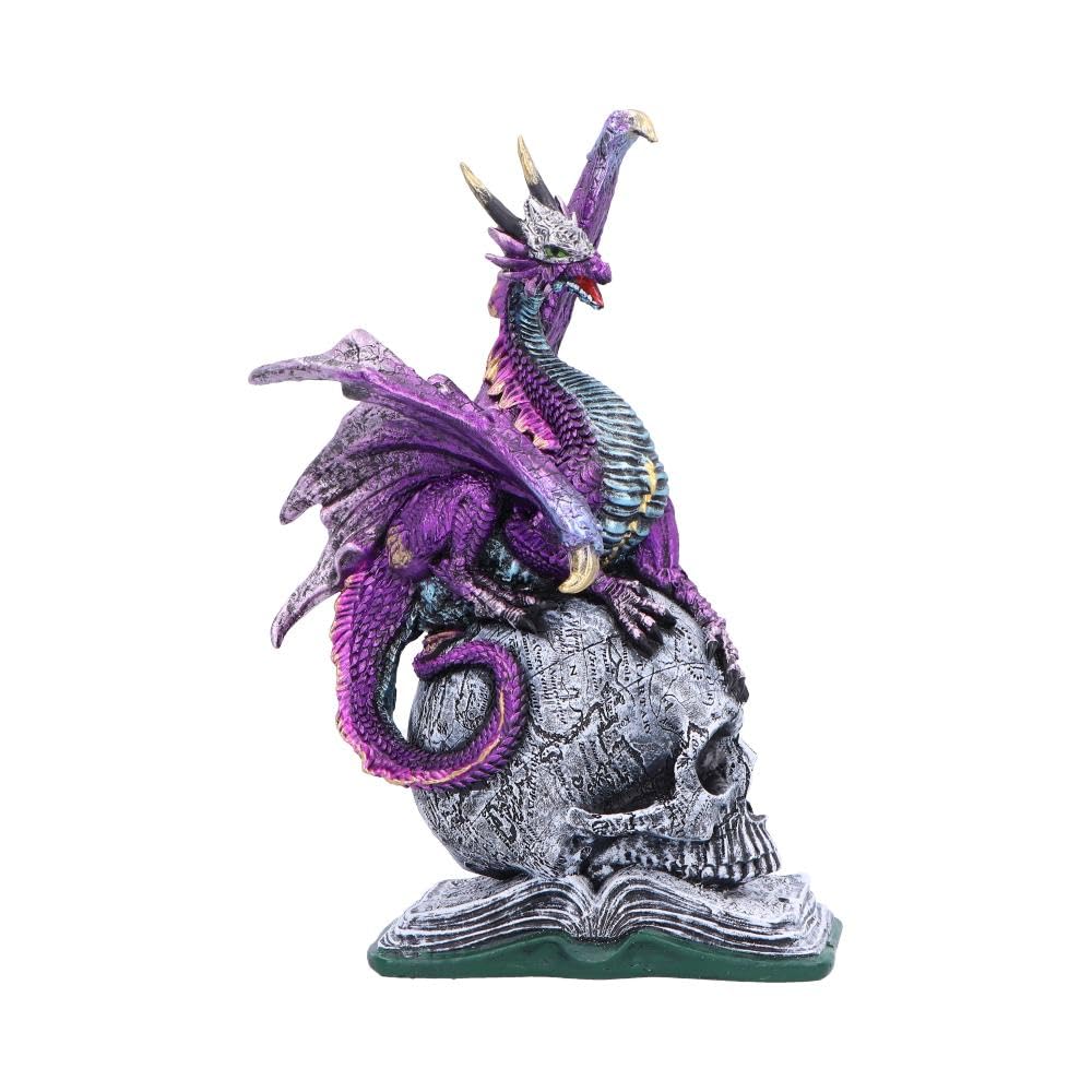 Nemesis Now Titans Reign Resin Dragon Statue - Hand-Painted Dragon Figure Perched On A Metallic Skull And Book - Gifts & Decor For Fantasy Lovers