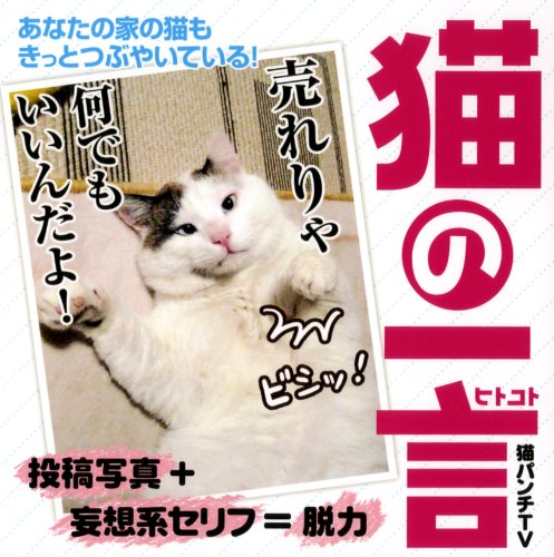 Amazon.co.jp: 猫の一言 : 猫パンチTV: 本