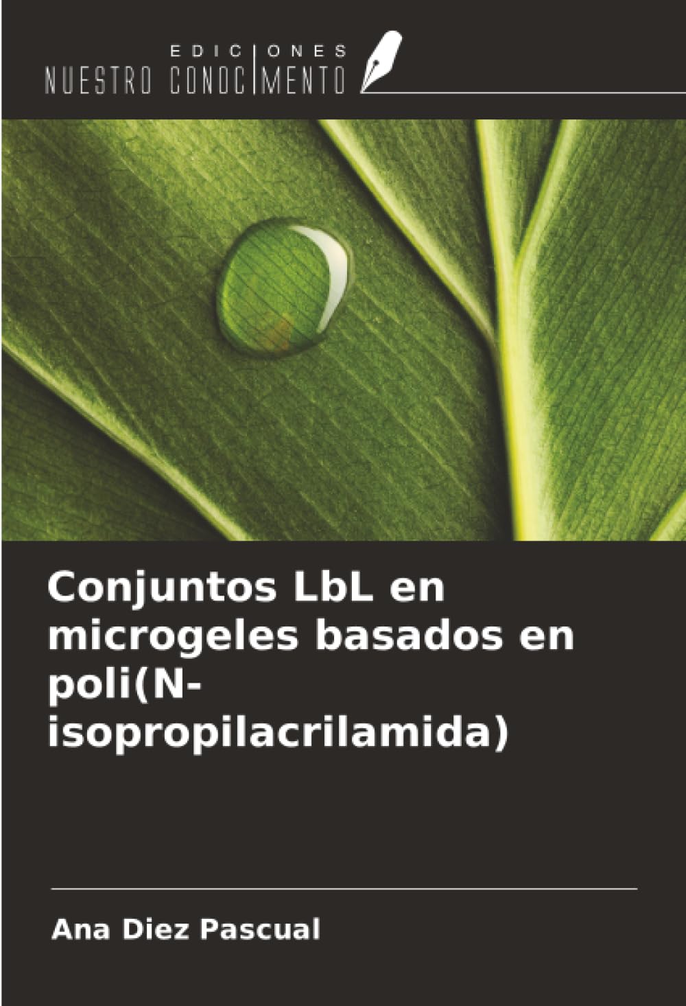 Conjuntos LbL en microgeles basados en poli(N-isopropilacrilamida)