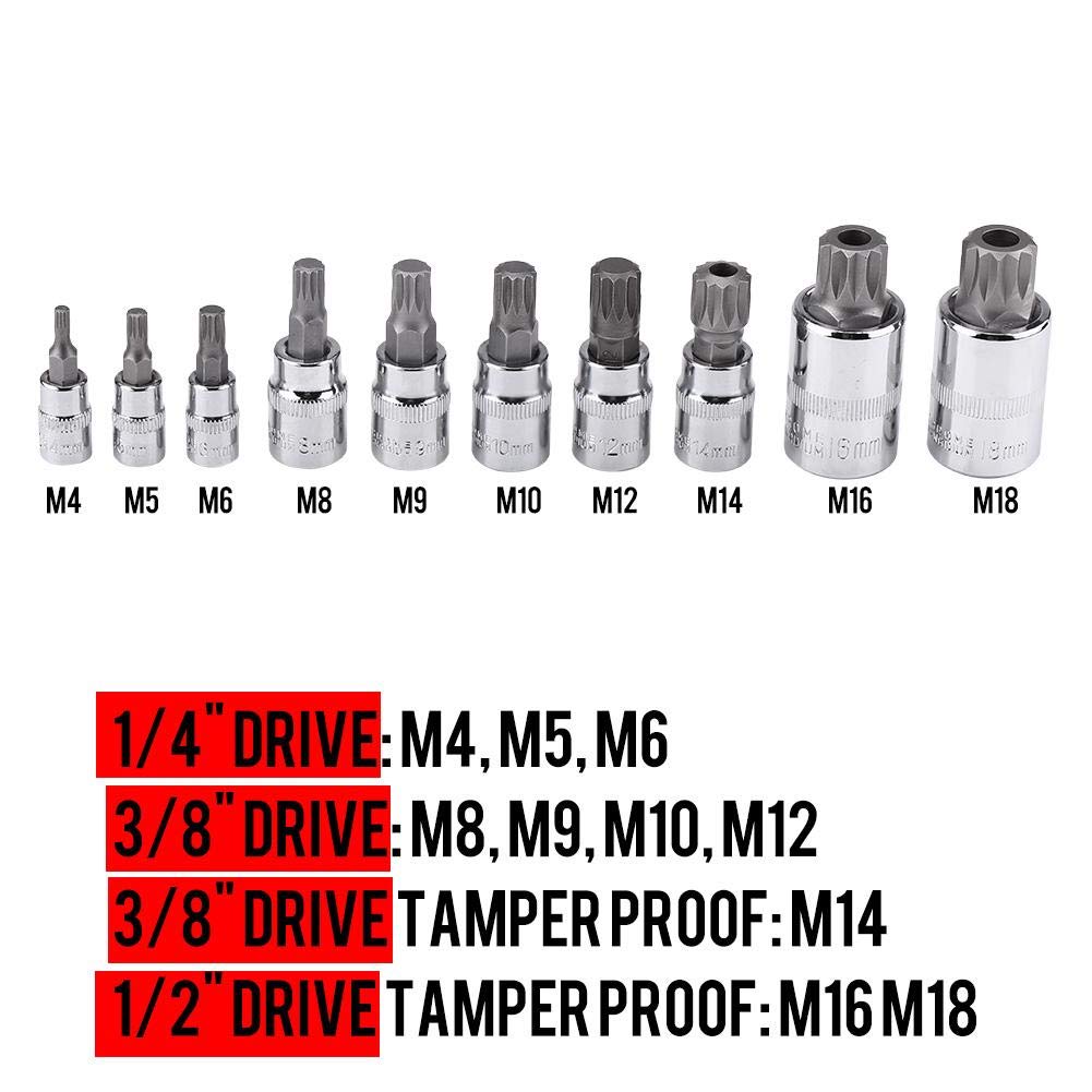10PC SPLINE BIT SOCKET SET