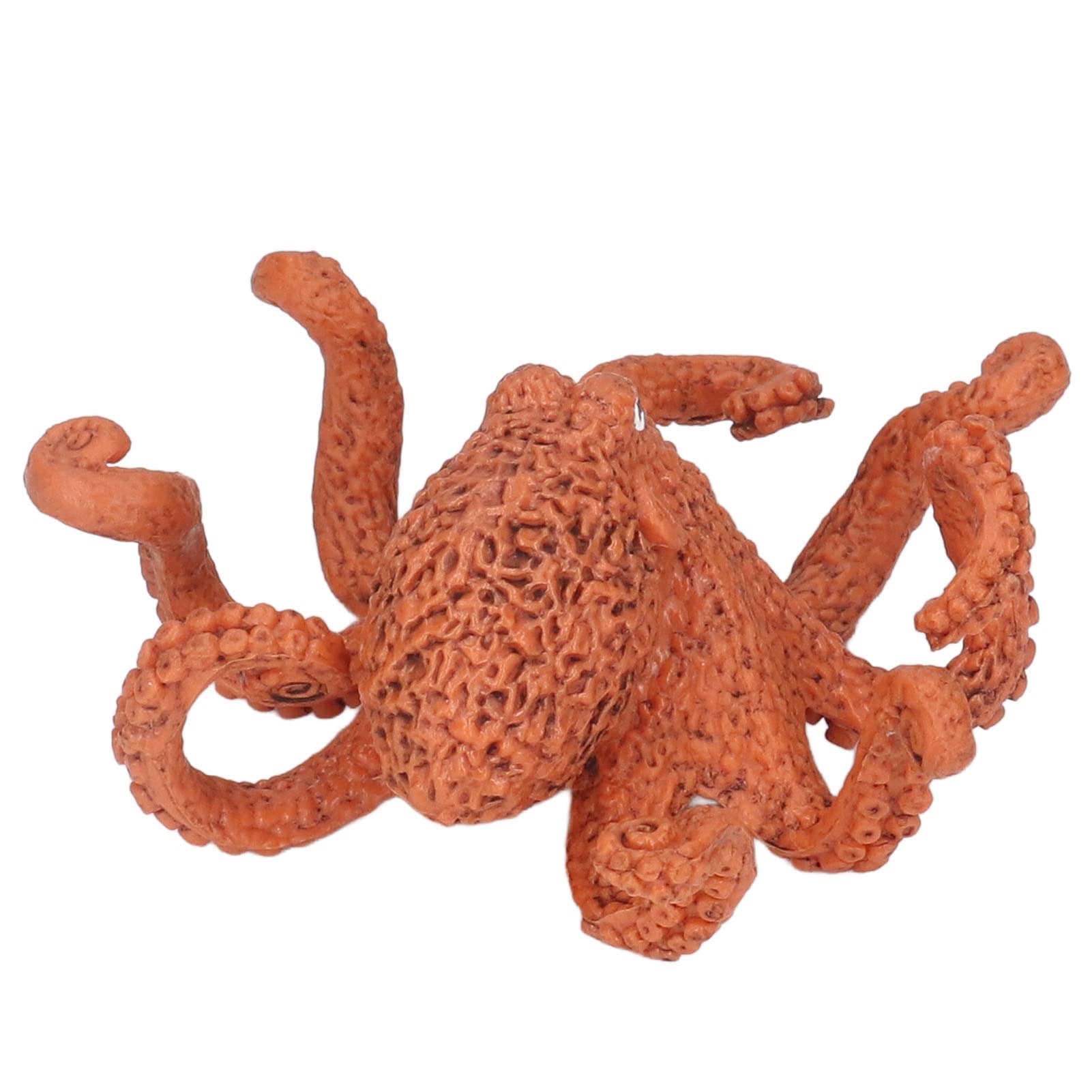 Octopus Life Cycle Toy – Educational Growth Stage Models For Kids, Safe & Vivid Marine Biology Learning Toy Ages 3+