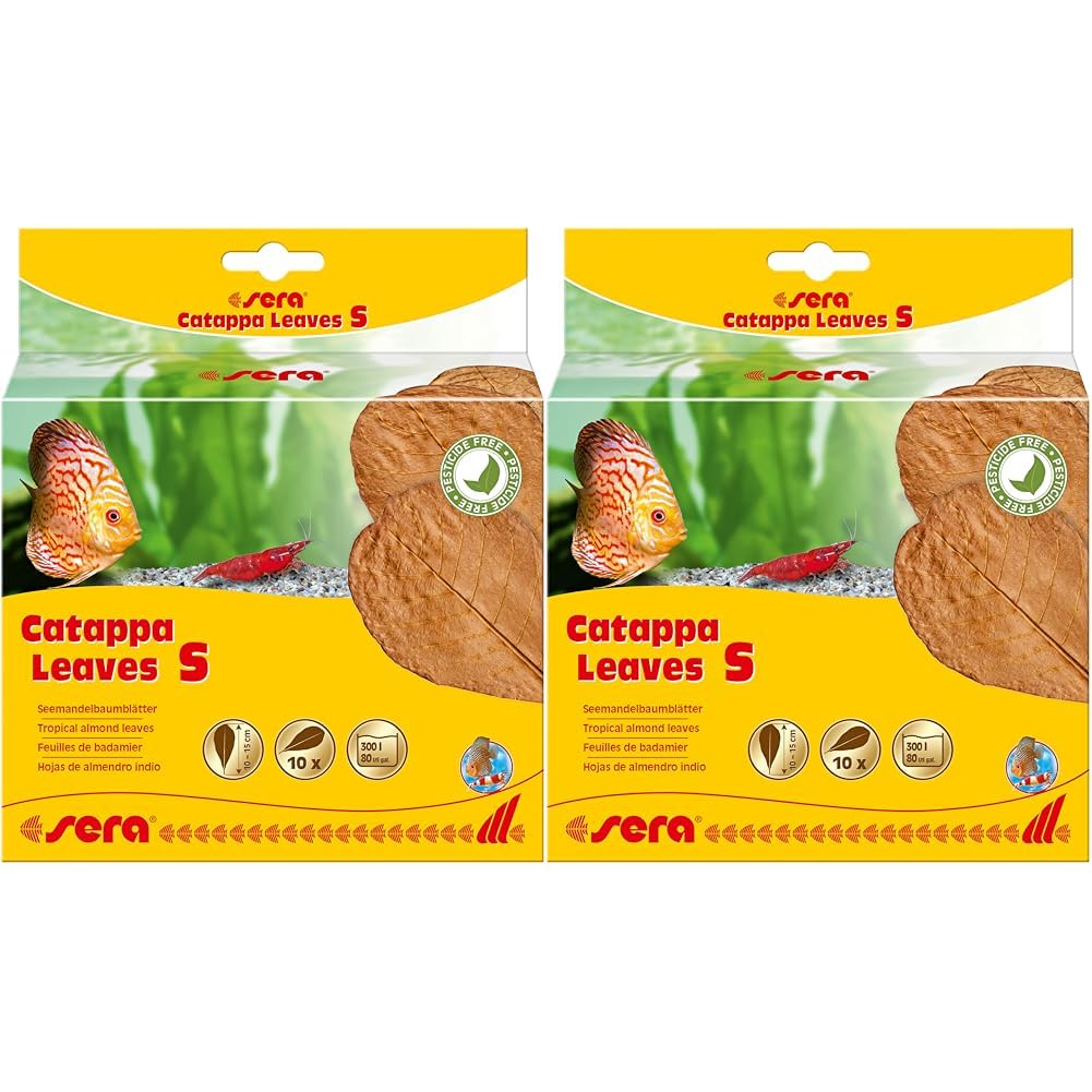 sera Catappa Leaves S 10-15 cm (10St) - Seemandelbaumblätter für die natürliche Wasseraufbereitung (Packung mit 2)