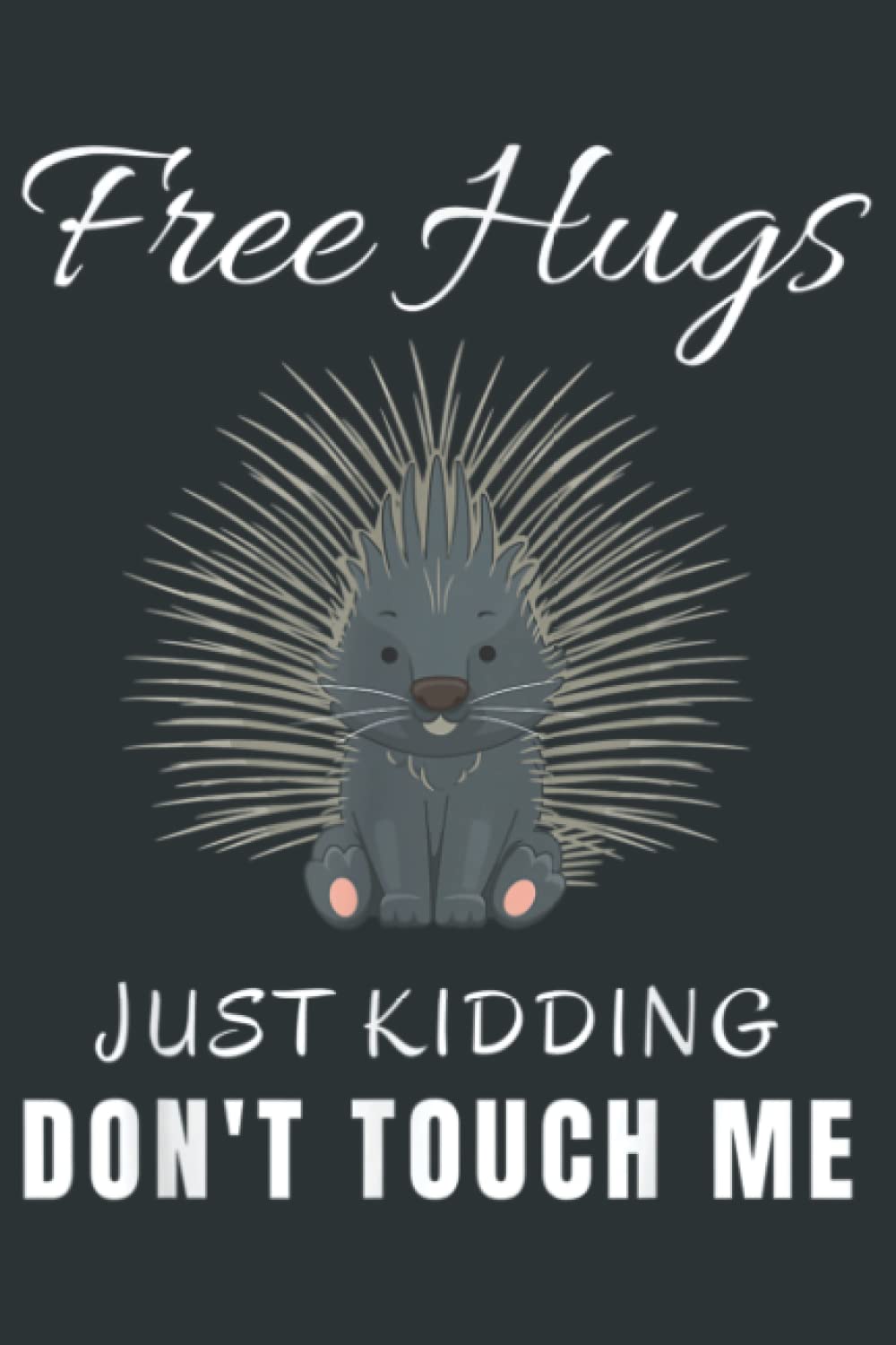 Independently published Free Hugs just kidding don t touch me porcupine introvert: Lined Journal Mint Notebook 6x9 Inch 120 Pages