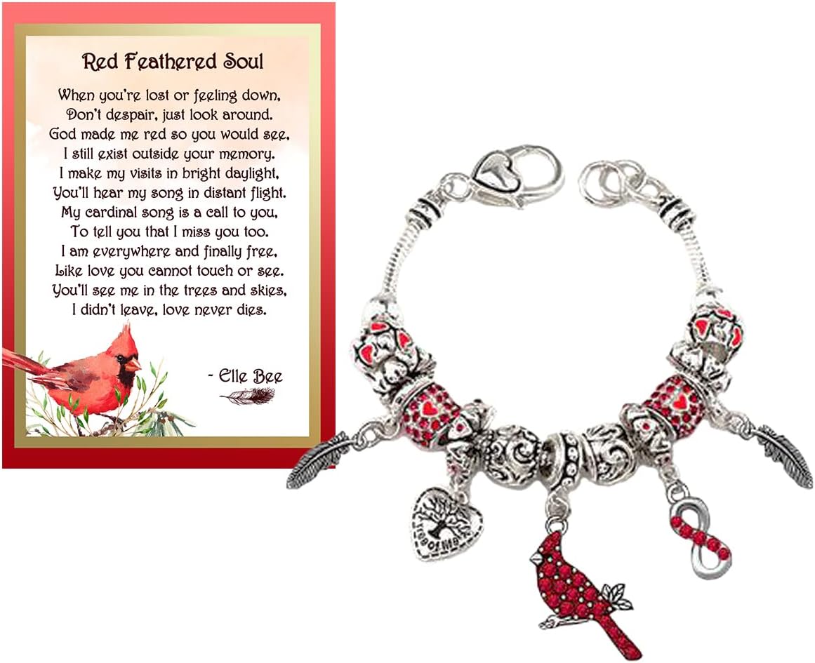 Lola Bella Gifts Crystal Cardinal Charm Bracelet Infinity Symbol with Red Feathered Soul Poem Card Box Sympathy Grief Memorial Gift