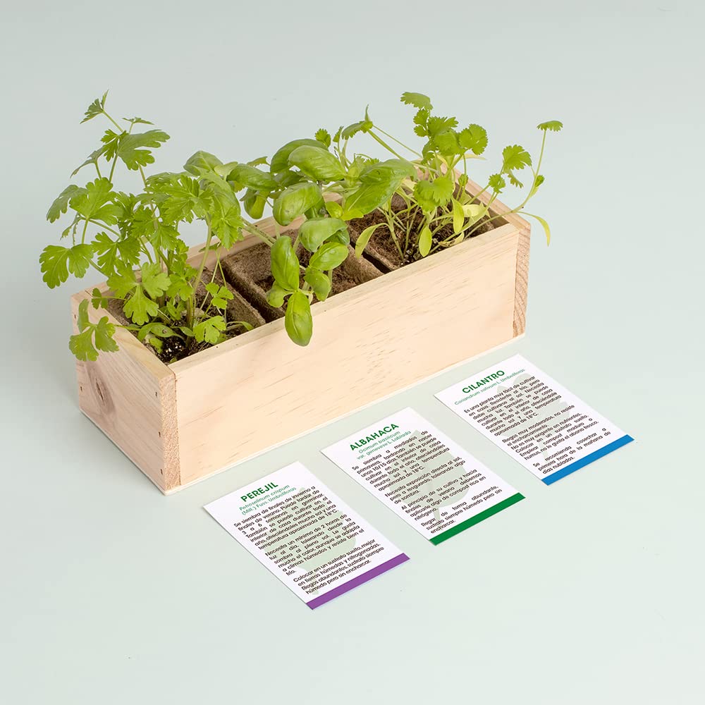 Minihuerto de Hierbas Aromáticas – Cultiva Perejil, Albahaca y Cilantro en Casa | Kit Completo con Macetas Biodegradables y Semillas | Ideal para Cocina, Regalo y Principiantes | Resetea