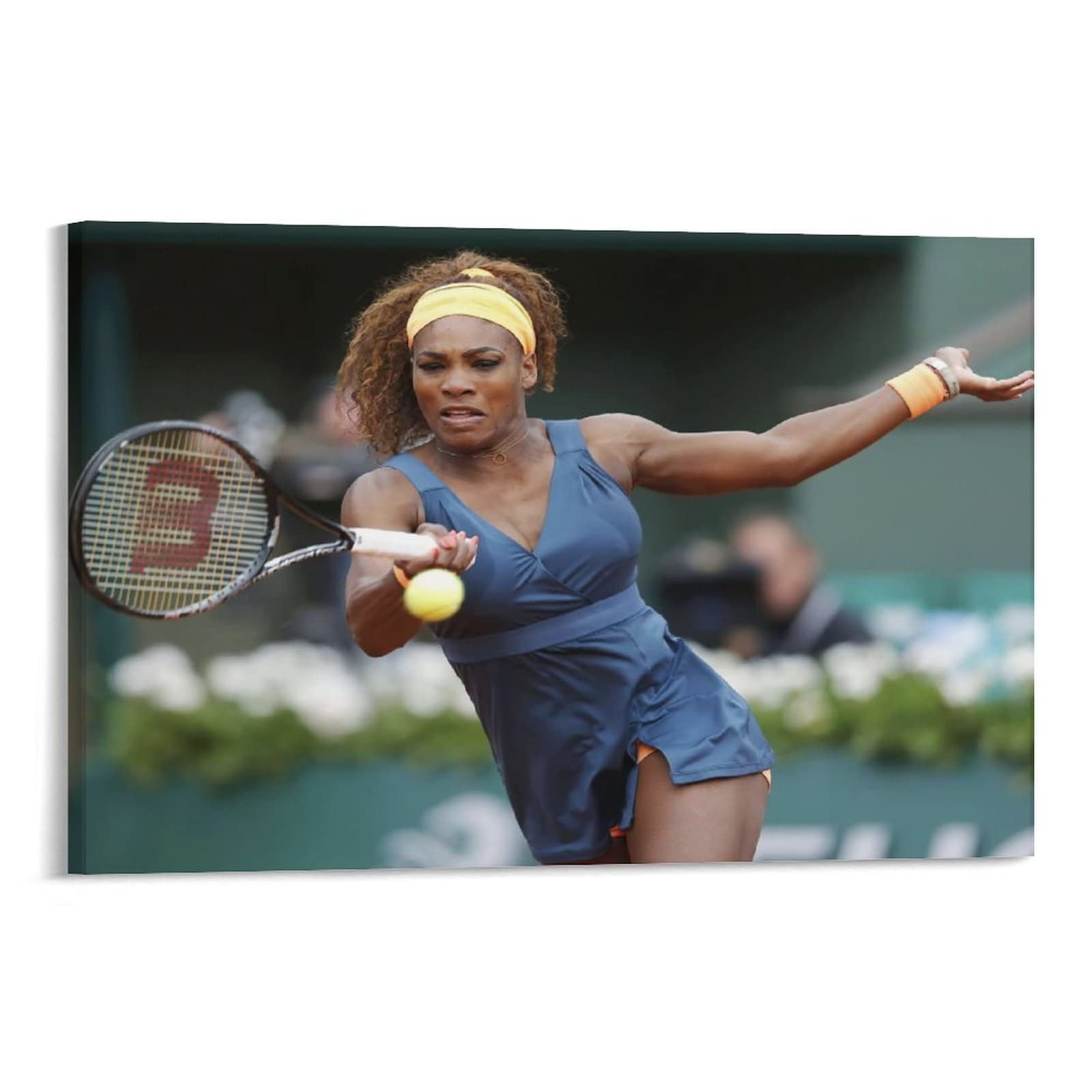 Amazon.co.jp: セリーナ・ウィリアムズ Serena Williams Tennis Ball