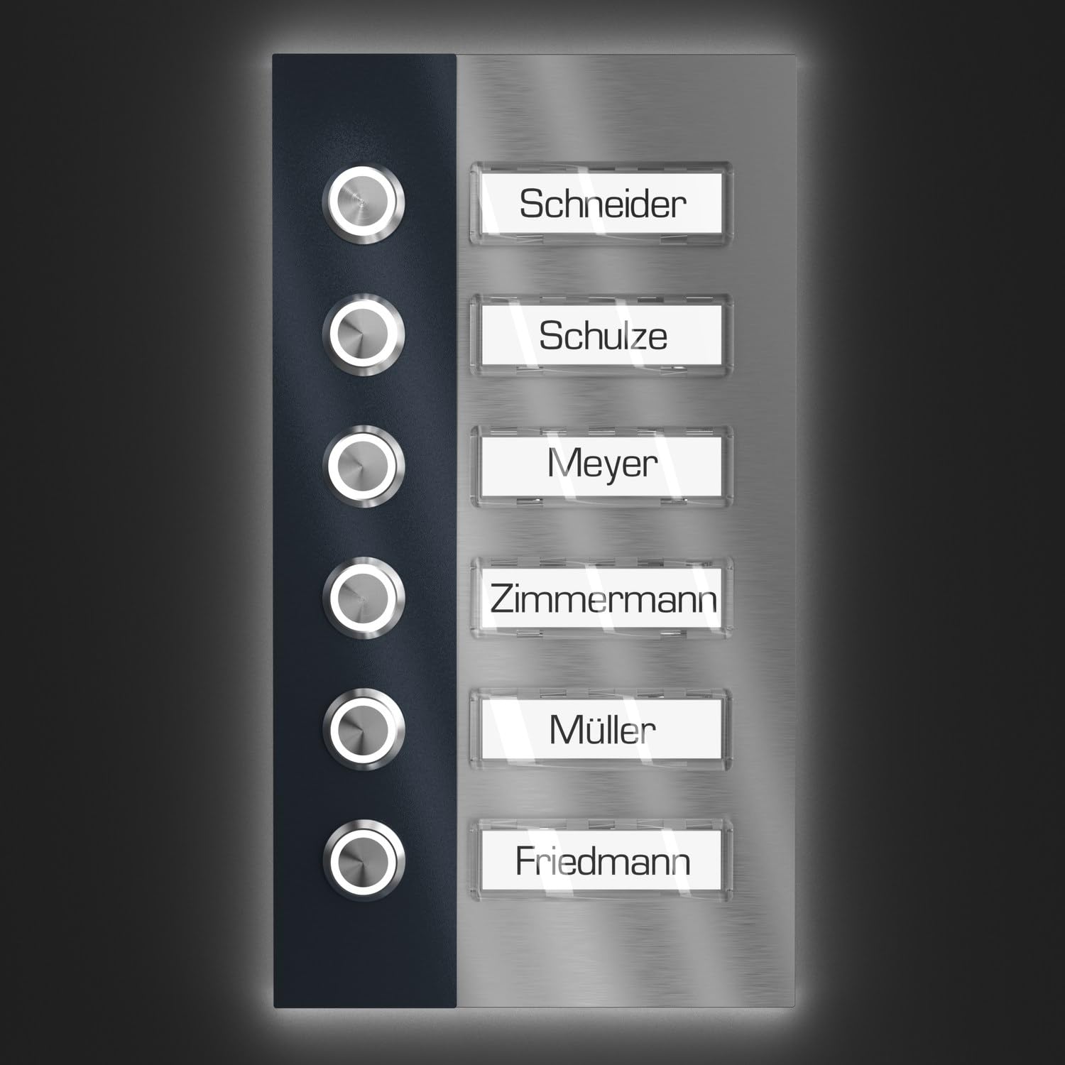 Campanello plurifamiliari con LED pressione Targhetta 6 nomi - V2A acciaio inox 140x255 mm - da incasso selezionabile da esterno per porta d'ingresso