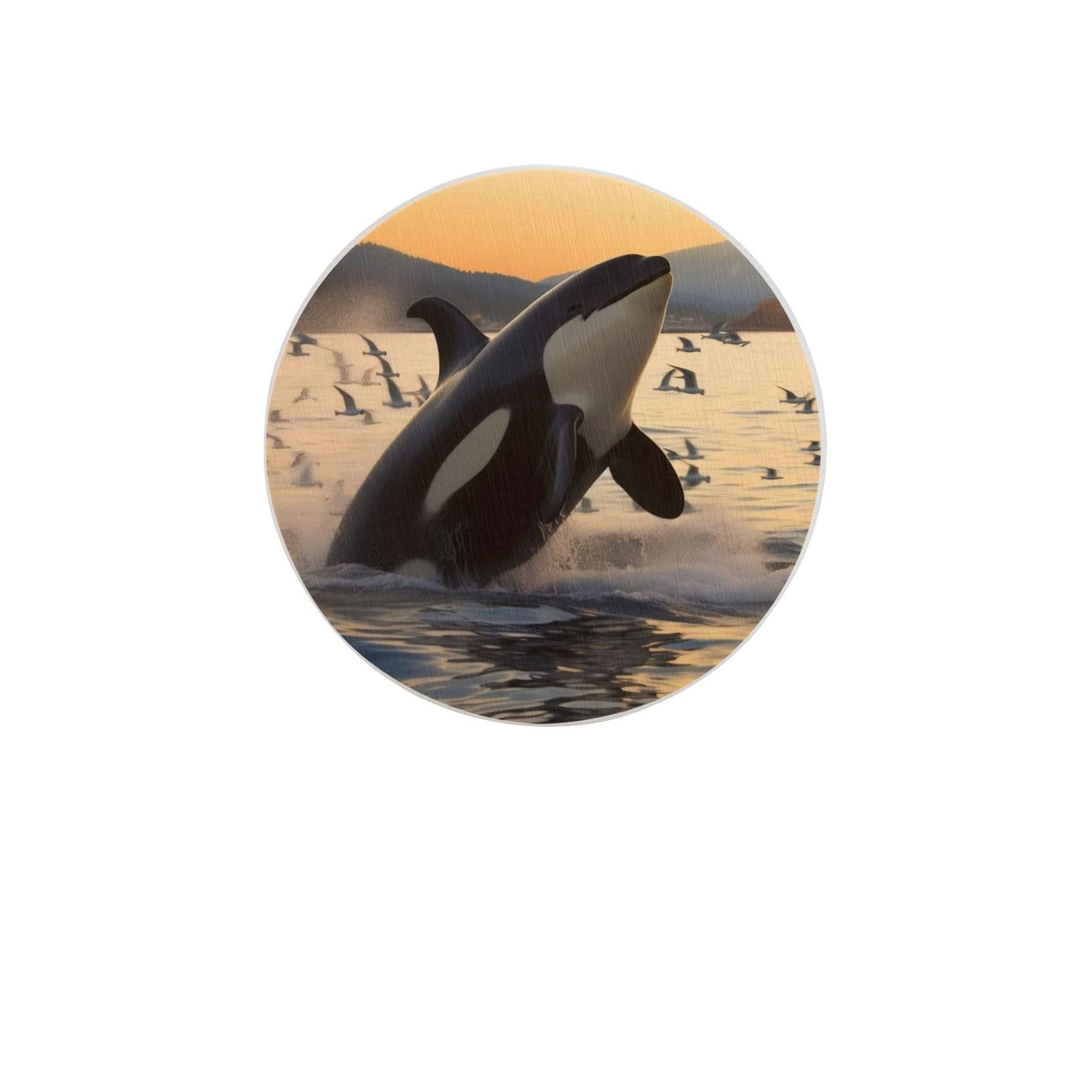 Killer Whale Absorbent Drink Coasters Diatomaceous Round Coaster 4 Inch Reusable Cup Coasters Set 4pc