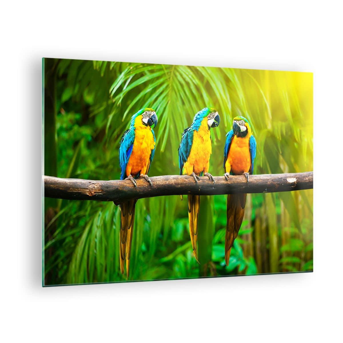 Cuadro sobre Vidrio 70x50cm Moderno Horizontal Botánica Naturaleza - 2696 | Loros Vistoso Cuadro Decorativo Arte mural Salón Dormitorio Cocina Cuadros de Pared Impresión en Cristal Glasprint ARTTOR