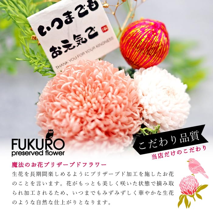 Amazon｜ふくろう プリザーブドフラワー (単品1個) 敬老の日