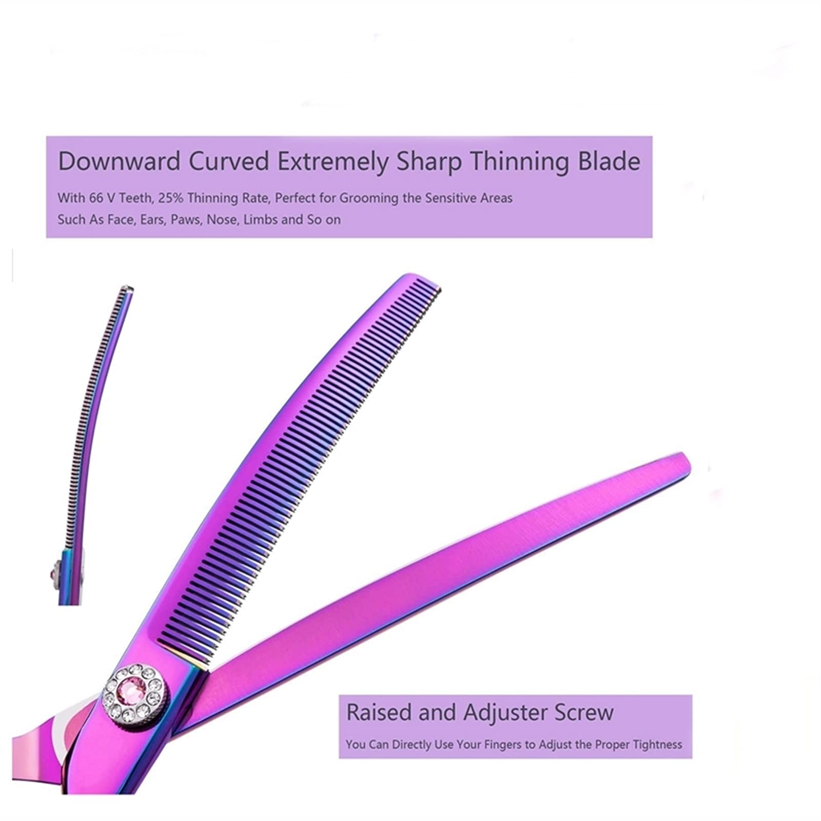 Ciseaux Coiffure/Ciseaux Cheveux Cisailles de cisailles de ciseaux de ciseaux de toilettes de toilettes en acier inoxydable 440C salon trimmer cisailles courbées 7 pouces violet Ciseaux salon Coiffure