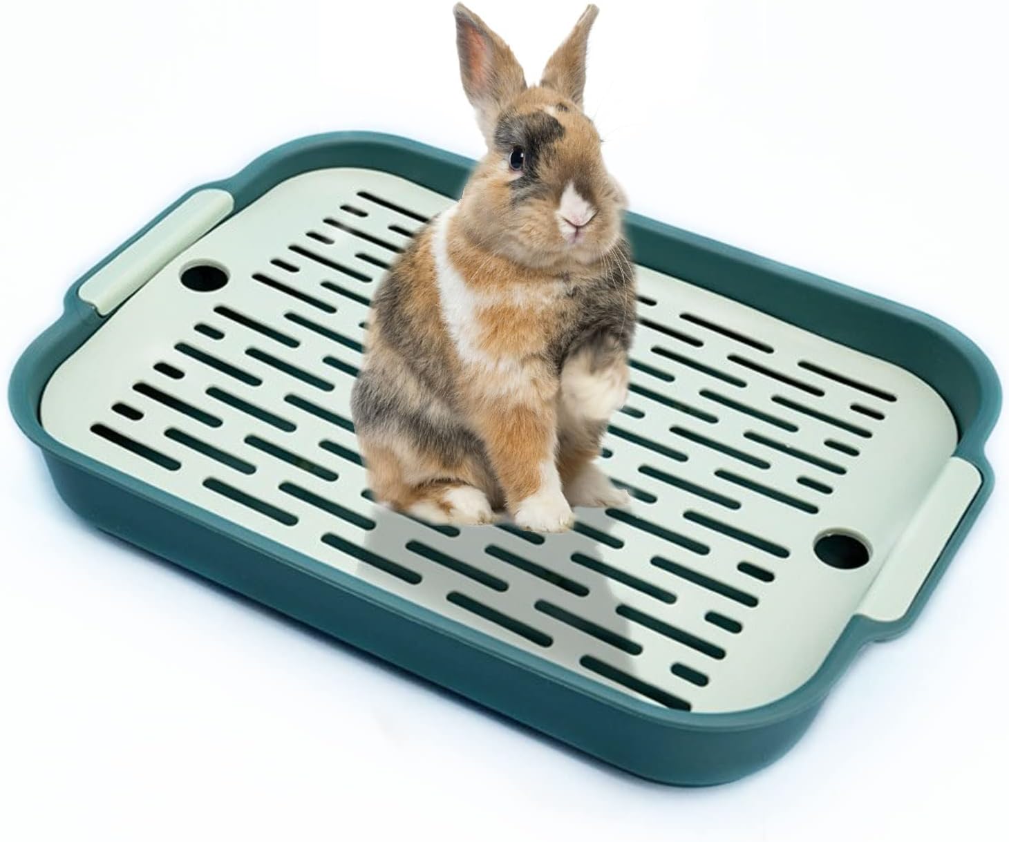 kathson Rabbit Litter Box Guinea Pig Training Litter Box